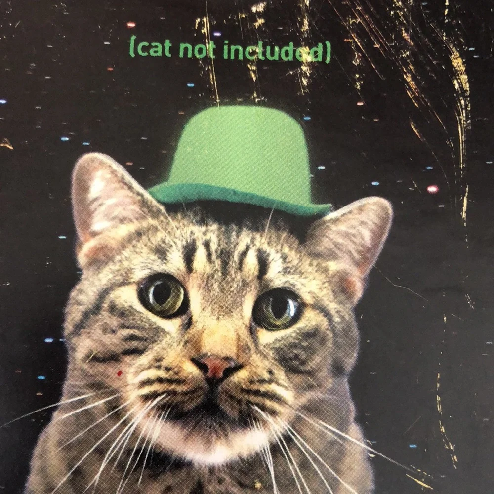 NIP Glow in the Dark Novelty Cat Top Hat